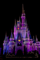 MVMCP (11 of 38)