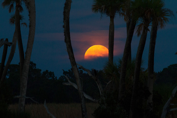 Harvest Moonrise 1