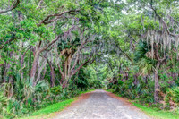 Pinckney Island Path