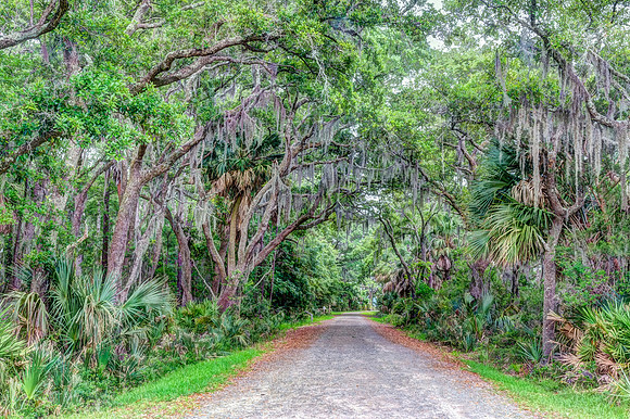 Pinckney Island Path