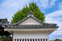 Hitachinaka