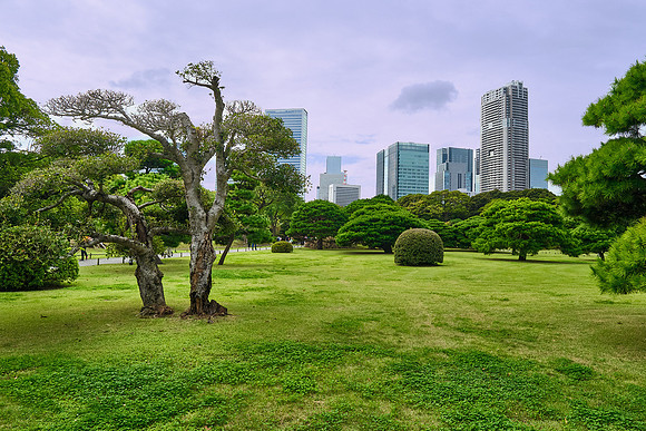 Tokyo