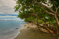 Site of the Marine landing at Red Beach