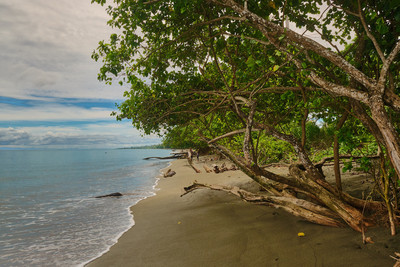 Site of the Marine landing at Red Beach