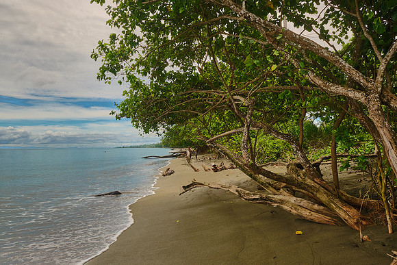 Site of the Marine landing at Red Beach
