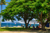 Seawall Park