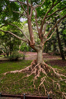 Parc Michael Corbasson