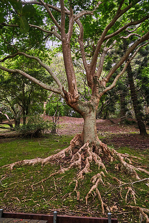 Parc Michael Corbasson