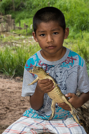 Young Caiman and Future Biologist