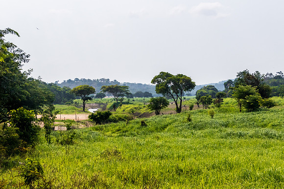 Dry-season Savanna