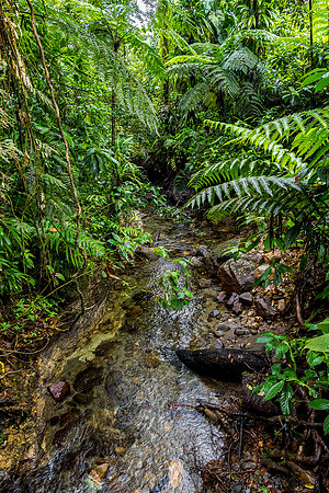 Morne Trois Pitons National Park, Dominica