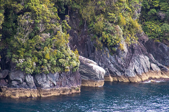 Milford Sound, NZ