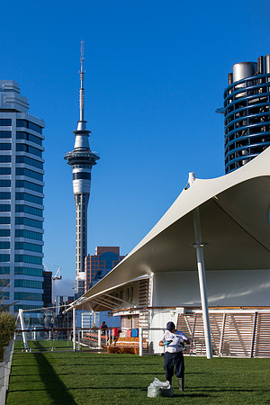 Sky Tower from the Solstice's Lawn