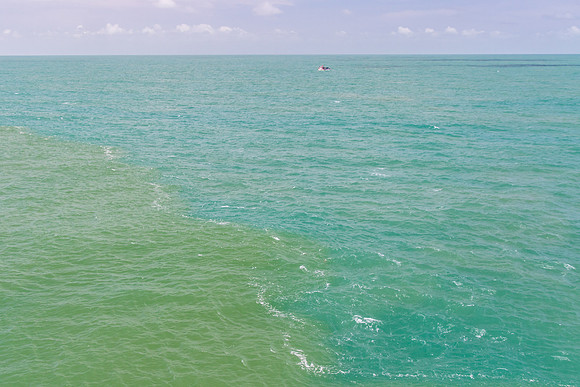 The Amazon meets the Atlantic
