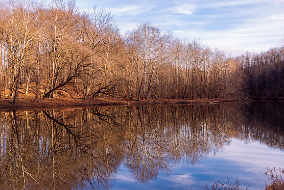 Patapsco State Park