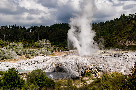 Pohutu geyser, Rotorua, NZ