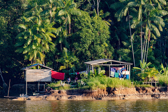 Living at the Edge of the Rain Forest