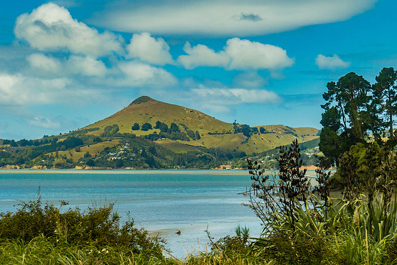 Otago Peninsula, NZ