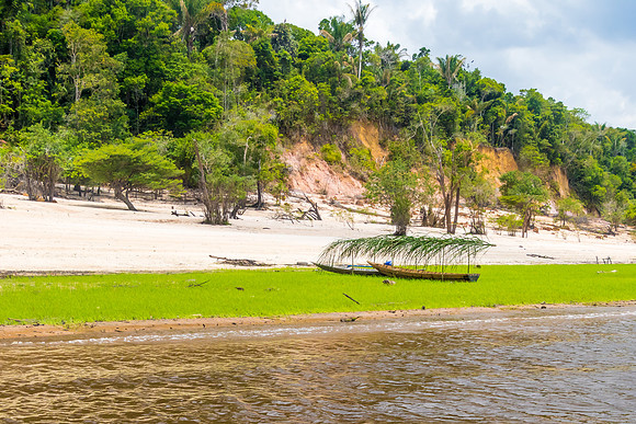 Grass Grows as the Water Recedes