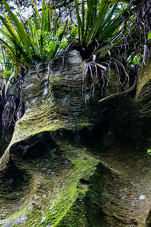 Corkscrew Rock, Kawiti Caves, NZ