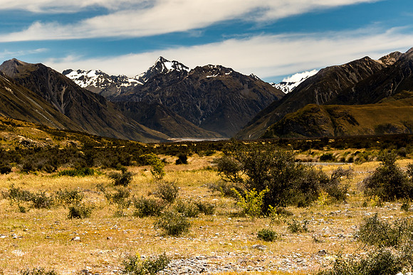 Potts River Valley, NZ