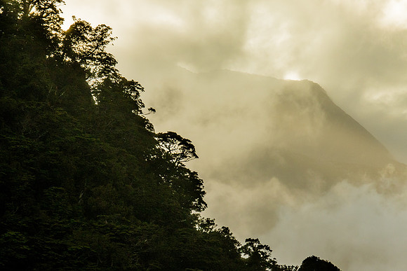 Enveloped in the Mists, Milford Sound, NZ