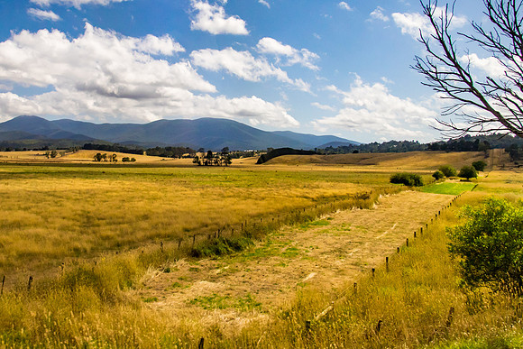 Yarra Valley