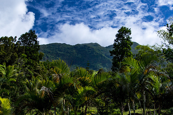 Dominica - The Nature Island