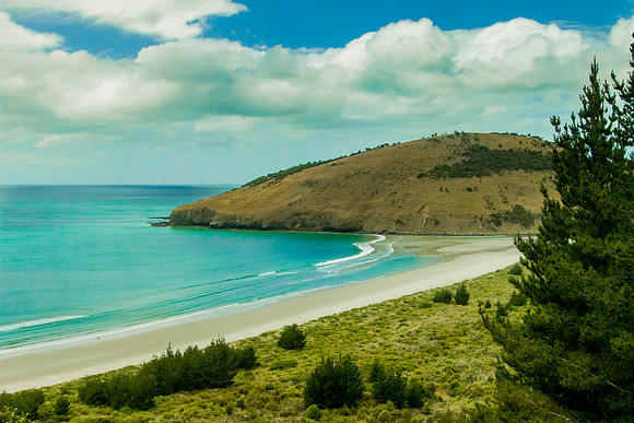 Otago Peninsula Beach, NZ