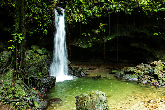 Emerald Pool, Dominica