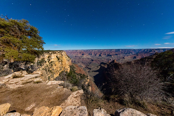 Kaibab by Moonlight