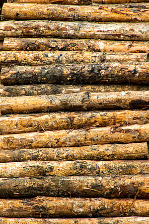 Log Rolls