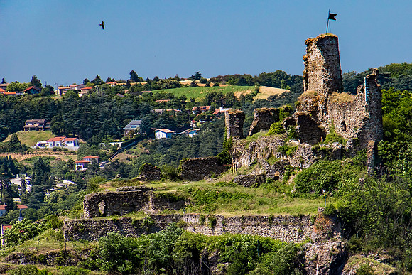 Guarding Vienne