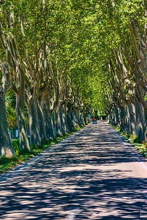 Route de Tarascon, St. Remy