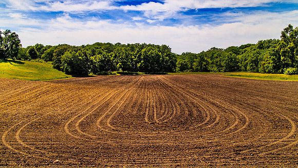 Iowa Springtime