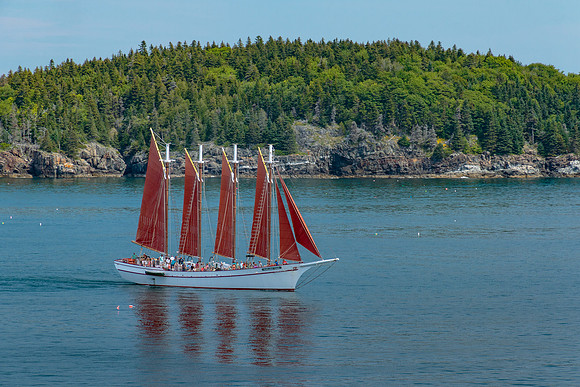Bar Harbor Sail