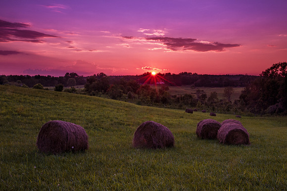 Howard County Nature Conservancy