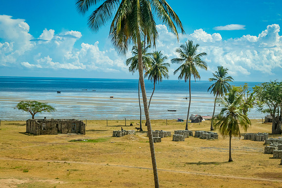 Indian Ocean Beach, Tanzania