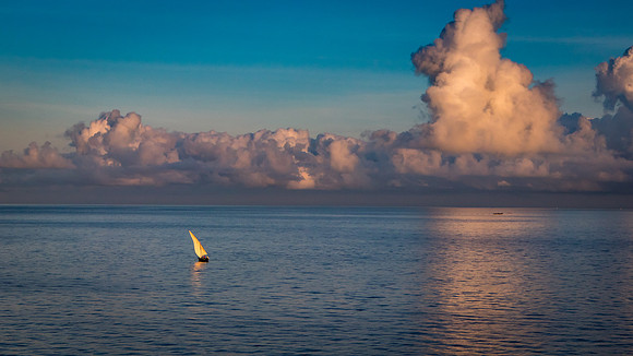 Dawn Dhow, Zanzibar