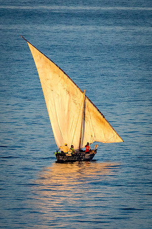 Dawn Dhow, Zanzibar