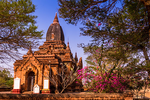 Winido Temple, Bagan, Myanmar