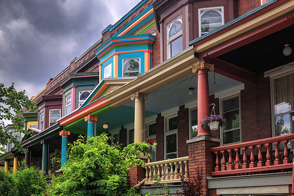 Baltimore Painted Ladies