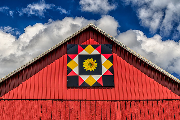 #16 Black-Eyed Susan Quilt