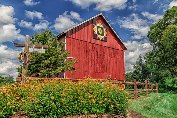 #16 Black-Eyed Susan Quilt
