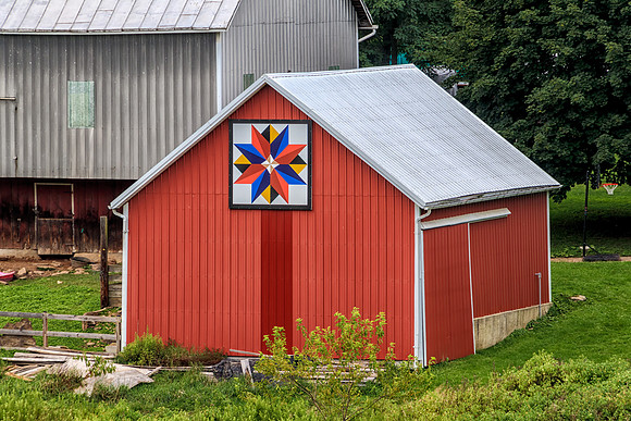 #25 Generation Star Quilt