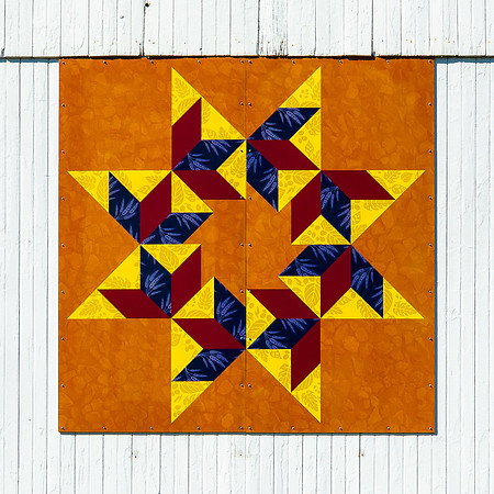 #31 Flying Swallows