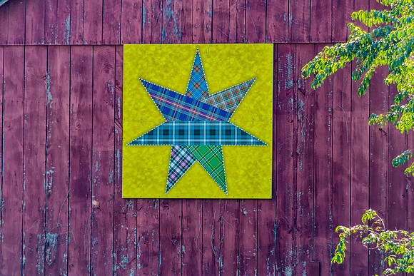 #27 Seven Pointed Star Quilt
