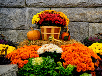 Autumn Decorations, Bar Harbor