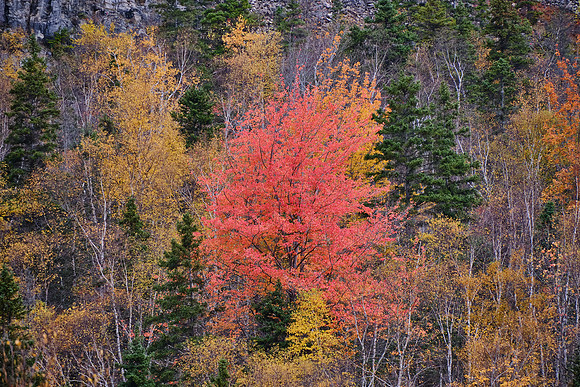 Corner Brook, Newfoundland, Canada