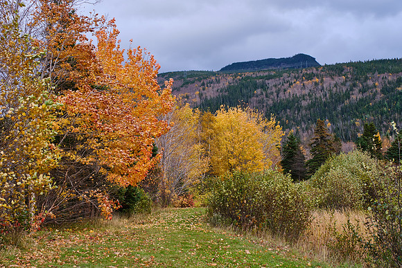 Corner Brook, Newfoundland, Canada